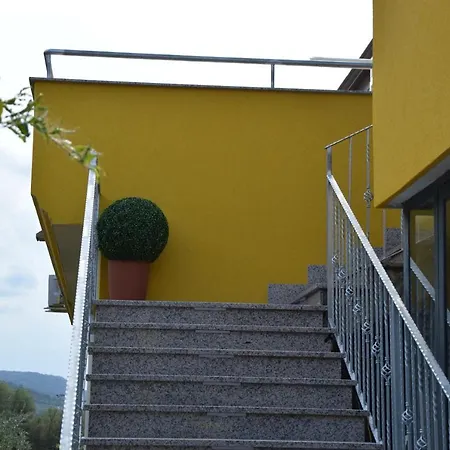 Stella D'oro Vibo Valentia