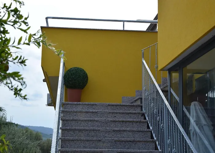 Stella D'oro Vibo Valentia